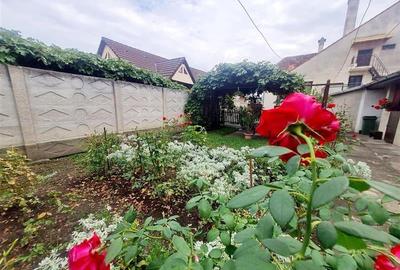 Poveste saseasca la umbra vitei de vie, cu crama si gradina cu flori, Central Co - 15