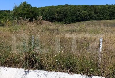 Teren 10200mp , toate utilitatile , la 10 km de DEJ Teren 10200mp , toate utilitatile , la 10 km de DEJ - 2