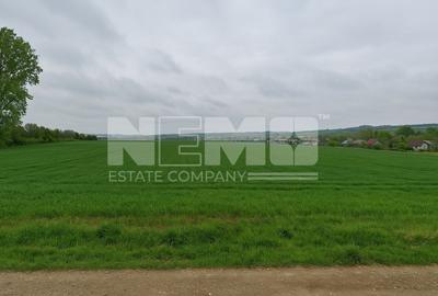 Teren Construcții intravilan de 3931 mp, în Iacobești - 2