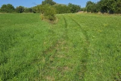 Teren 2040mp de vanzare in Cluj Napoca zona Nicolae Corches - 6