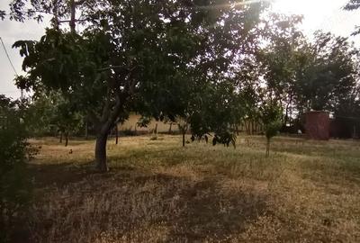 Casă cu 3 camere în Cioranca - 6