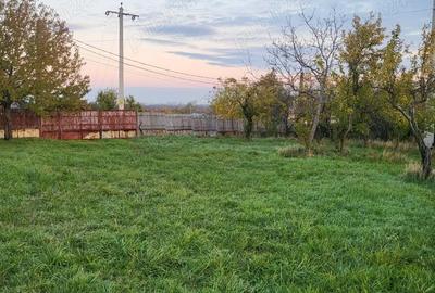 Teren de 600 mp, în Moșoaia - 8