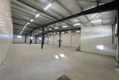 Spațiu industrial, de 1,400 mp, în Vest - 8