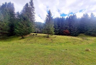 Teren intravilan panoramic 4.600mp,view iconic Piatra Craiului,oportunitate prem - 19