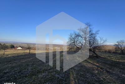 Teren de 24000 mp, în Sadu - 3