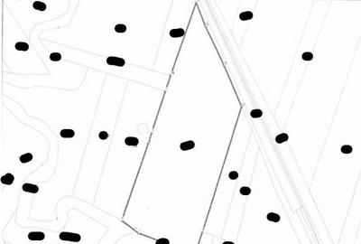 Teren Horodnic de Sus, cota parte 25/104, ID: R2660174 - 11