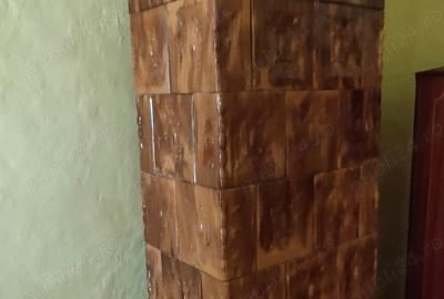 Casă cu 4 camere cu Teren 3000 Mp în Alioș - 3