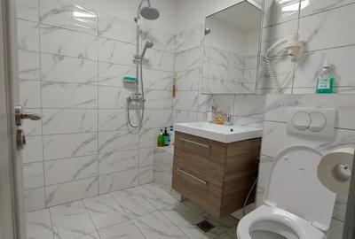 Apartament cu 2 camere decomandat în Basarabia - 8