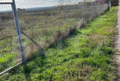 OPORTUNITATE INVESTITIE Teren 19.240 mp Geangoesti, Dambovit - 1