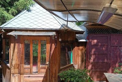 Casa Sunatori, Vatra Dornei, Suceava - 11