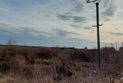 Teren de 19000 mp, în Bărbuceanu - 3