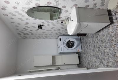 Casa de inchiriat in Talmaciu - 14