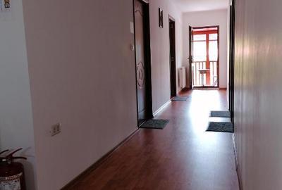 Spațiu comercial, de 500 mp, în Baia de Fier - 3