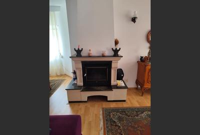 Vila spațioasă 5 dormitoare, Provita de Jos - 10