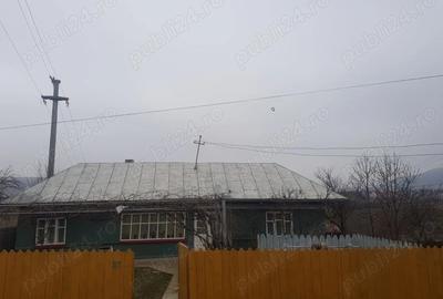 Vand casa in sat Bace?ti, comuna Bace?ti, jude?ul Vaslui - 2