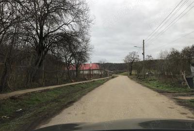 Teren de 3478 mp, în Viișoara - 4