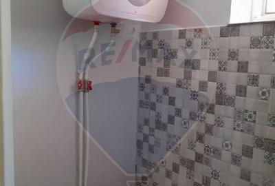 Casă individuală cu 4 camere cu Teren 3414 Mp în Comarna - 12