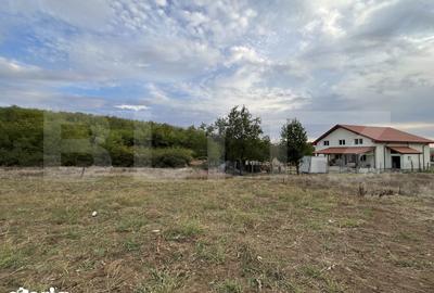 Teren de 1000 mp, în Central - 5