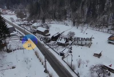 Teren de 2283 mp, în Tarcău - 4