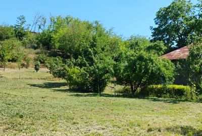 Teren Construcții intravilan de 1600 mp, în Somova - 3