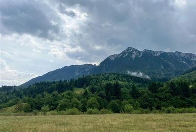 TEREN INTRAVILAN DEOSEBIT, ZARNESTI, VALEA BARSEI - 4