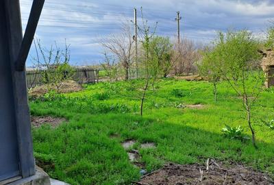 Casă cu 4 camere în Dracea - 7