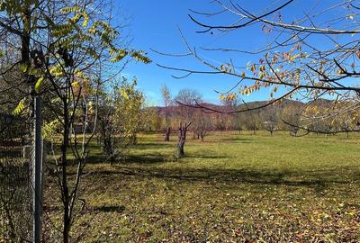 Teren intravilan de vanzare in Brebu (zona foarte linistita) Teren intravilan de vanzare in Brebu (zona foarte linistita) - 6