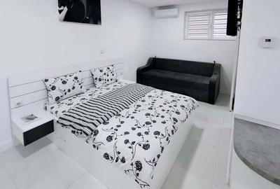 Casă cu 1 camere cu Teren 1216 Mp în Oncea - 11