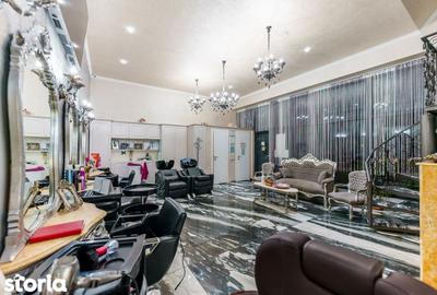 Spațiu comercial, de 135 mp, în Micălaca - 16
