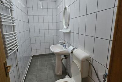 Inchiriere spatiu comercial, Bulevardul N. Balcescu, stradal - 6