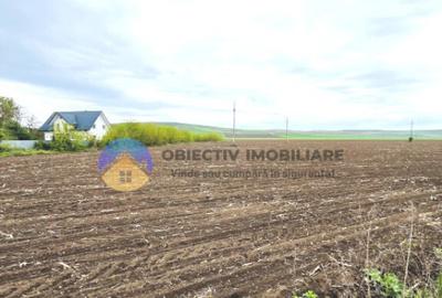 TEREN intravilan PIATRA NEAMT strada Izvoare TEREN intravilan PIATRA NEAMT strada Izvoare - 9