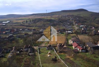 Teren de 2286 mp, în Dipșa - 3