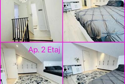 Casa transformata in 2 apartamente de lux - Afacere Booking Airbnb - venit anual de 25.000 Euro - 8