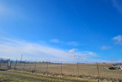 Teren intravilan - Halchiu, construire locuinte individuale - 3