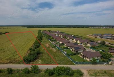 Teren intravilan, Balote?ti, Strada Cameliei 36, 10.000 mp - 8