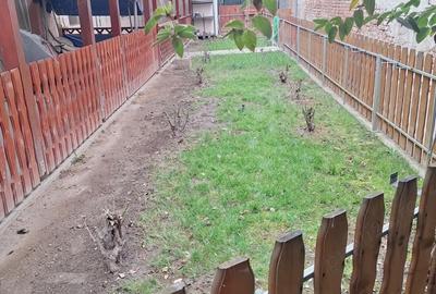 Apartament cu 2 camere semidecomandat în Iosefin - 1