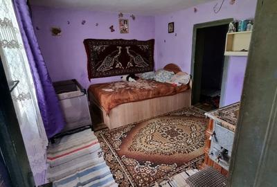 Casă cu 3 camere în Podu Turcului - 4