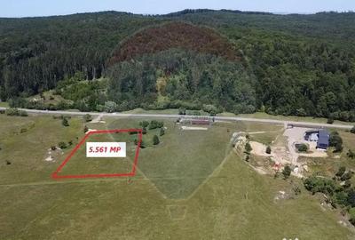 Teren de 5561 mp, în Paltin - 18