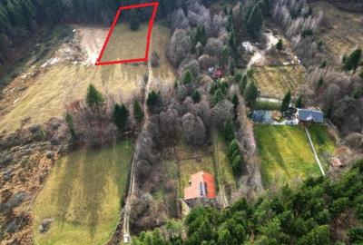 Teren intravilan 2000 mp în Vulcan BV – Oază de liniște între pădure și lacuri - 2