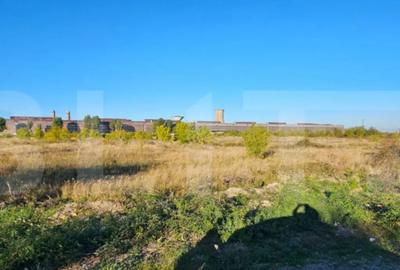 Teren de 5000 mp, în Central