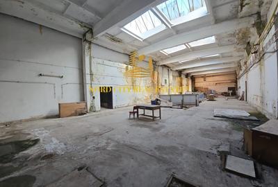 Spațiu industrial, de 21,018 mp, în Exterior Vest - 8