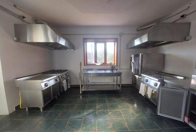 Casă cu 11 camere cu Teren 5995 Mp în Șumugiu - 2