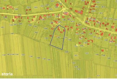 Casă cu 4 camere cu Teren 5440 Mp în Colțu - 6