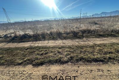 Teren Construcții intravilan de 540 mp, în Sânpetru - 3