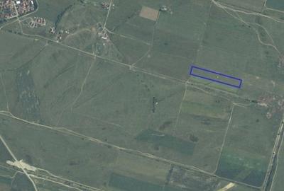 COMISION 0% Teren Extravilan Giroc, 15.000 mp, Front Stradal 47ml COMISION 0% Teren Extravilan Giroc, 15.000 mp, Front Stradal 47ml - 4