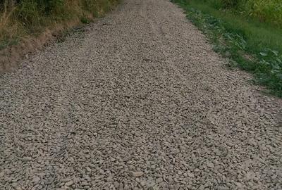 Hala pe Structura Metalica+ Casa batraneasca + 4800 m2 - 7