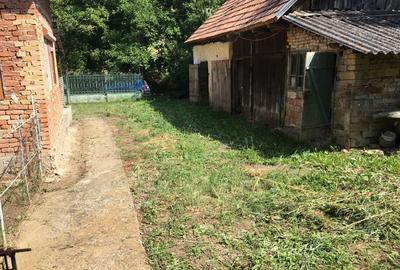 Casă cu 3 camere cu Teren 2913 Mp în Măhăceni - 5