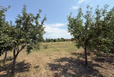 VALEA URSULUI, TEREN INTRAVILAN DE VANZARE,  LA MARGINE DE PADURE - 4