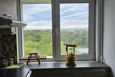 Apartament 2 camere Parc Bazilescu spre inchiriere  Str. Subcetate - 9