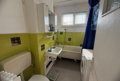 Apartament cu 2 camere semidecomandat, mobilat în Brazda lui Novac - 7